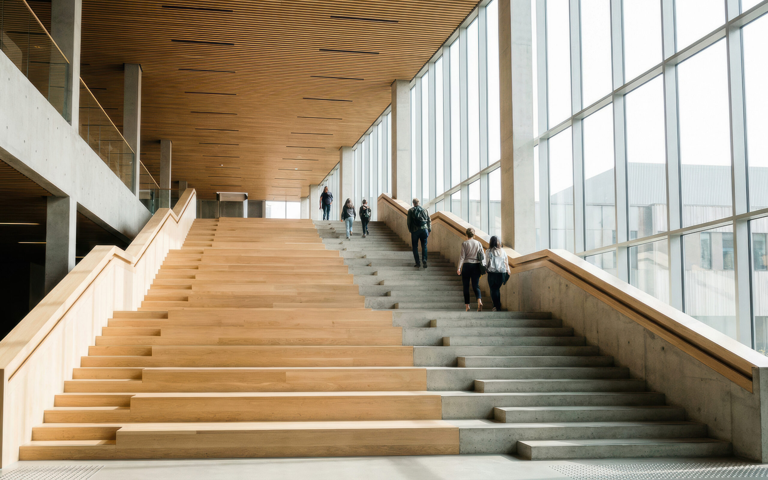 Expertise : Droit des affaires et des sociétés